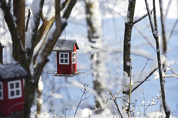 Image showing bird feeder in the form of a house hanging on a branch in the wi