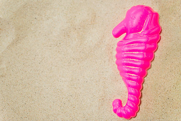 Image showing close up of sea horse mold on summer beach sand