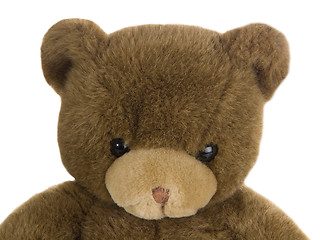 Image showing Teddy bear