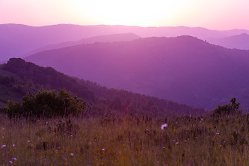 Image showing ultra violet purple summer landscape