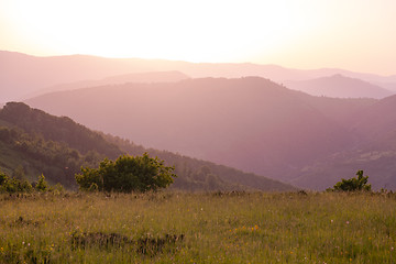 Image showing landscape nature summer