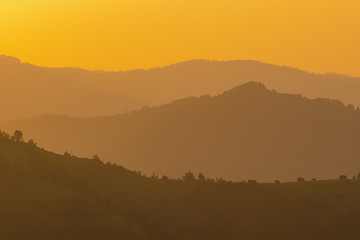 Image showing golden sunset in summer