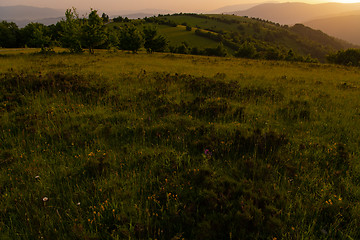 Image showing landscape nature summer