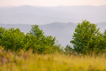 Image showing landscape nature summer