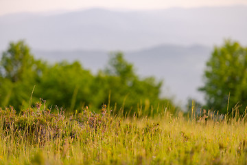 Image showing landscape nature summer