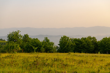 Image showing landscape nature summer