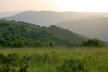 Image showing landscape nature summer