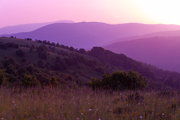 Image showing ultra violet purple summer landscape