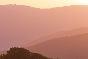 Image showing golden sunset in summer