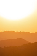 Image showing golden sunset in summer