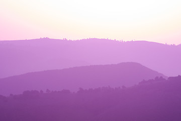 Image showing ultra violet purple summer landscape