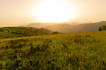 Image showing landscape nature summer