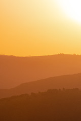 Image showing golden sunset in summer