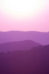 Image showing ultra violet purple summer landscape