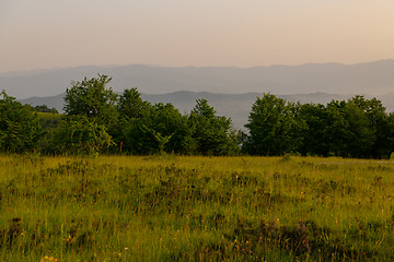 Image showing landscape nature summer