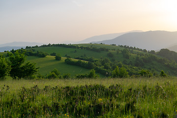 Image showing landscape nature summer