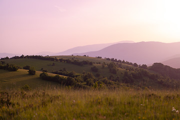 Image showing landscape nature summer