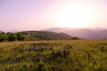 Image showing landscape nature summer