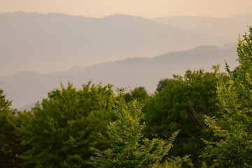 Image showing landscape nature summer