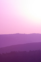 Image showing ultra violet purple summer landscape