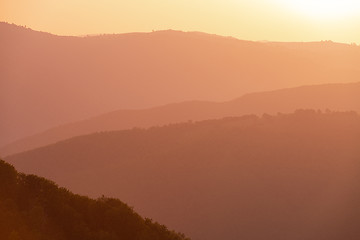 Image showing ultra violet purple summer landscape