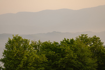 Image showing landscape nature summer