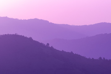 Image showing ultra violet purple summer landscape