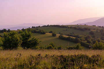 Image showing landscape nature summer