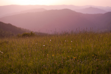 Image showing landscape nature summer