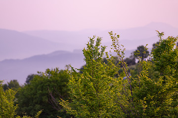 Image showing landscape nature summer