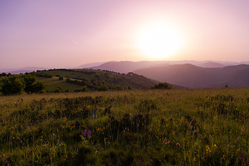 Image showing landscape nature summer