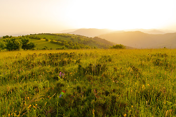 Image showing landscape nature summer