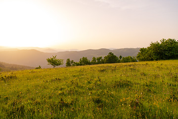 Image showing landscape nature summer