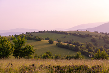 Image showing landscape nature summer