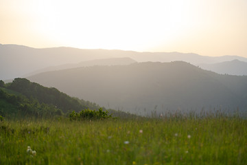 Image showing landscape nature summer