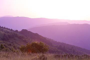 Image showing ultra violet purple summer landscape