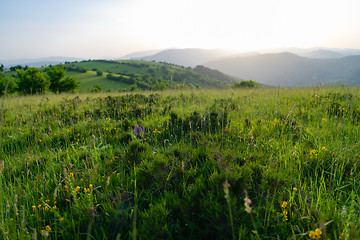 Image showing landscape nature summer