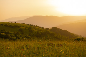 Image showing landscape nature summer