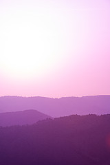 Image showing ultra violet purple summer landscape