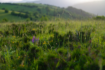 Image showing landscape nature summer