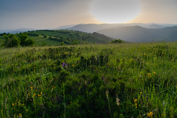 Image showing landscape nature summer