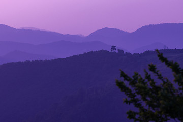 Image showing ultra violet purple summer landscape