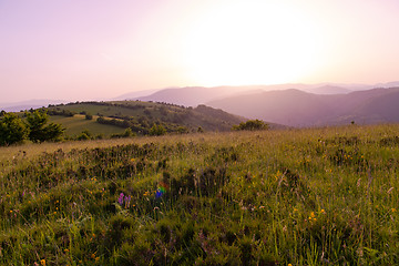 Image showing landscape nature summer