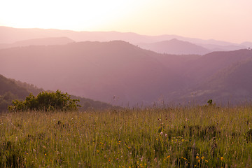 Image showing landscape nature summer