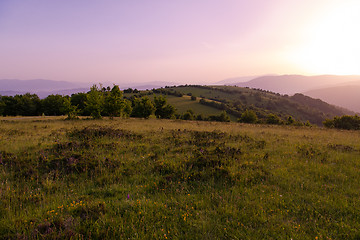 Image showing landscape nature summer