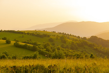 Image showing landscape nature summer