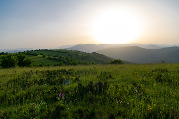 Image showing landscape nature summer