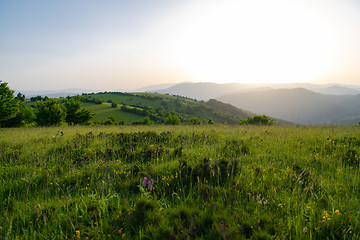 Image showing landscape nature summer