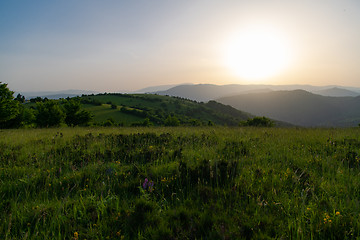 Image showing landscape nature summer