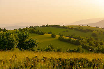 Image showing landscape nature summer